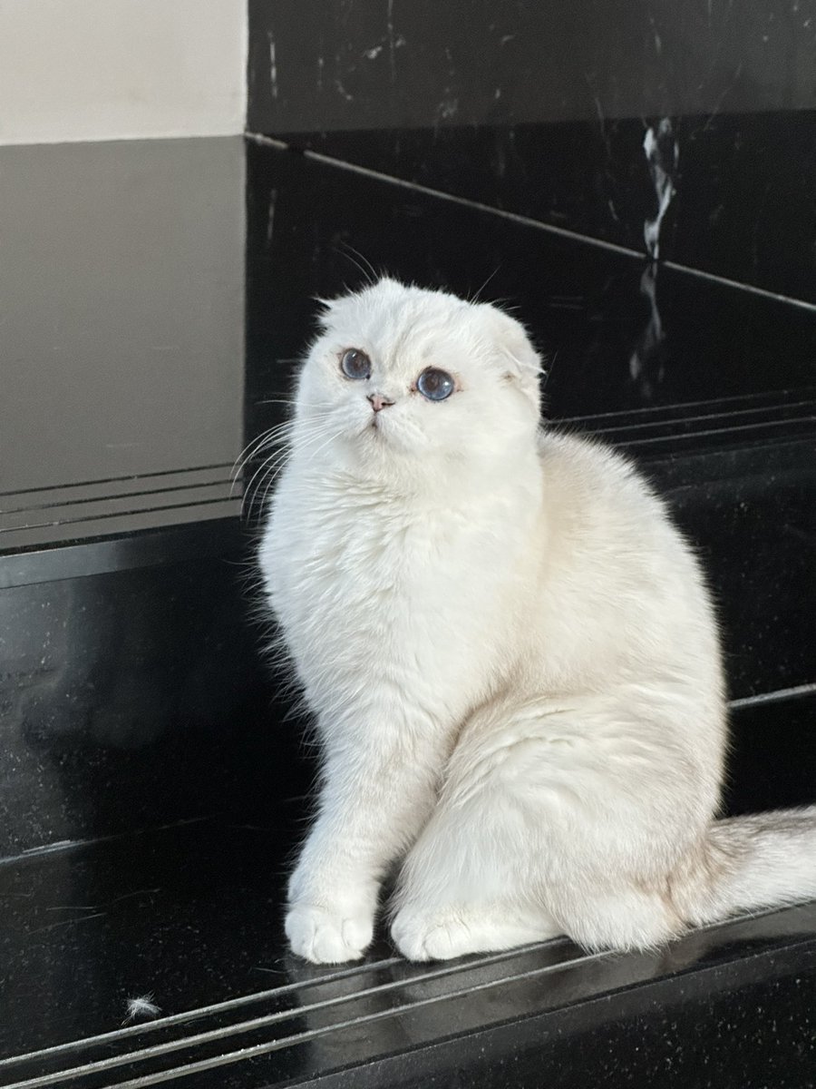 Bonusiie's tweet photo. อุ๊ https://t.co/OEuheZG4Vh