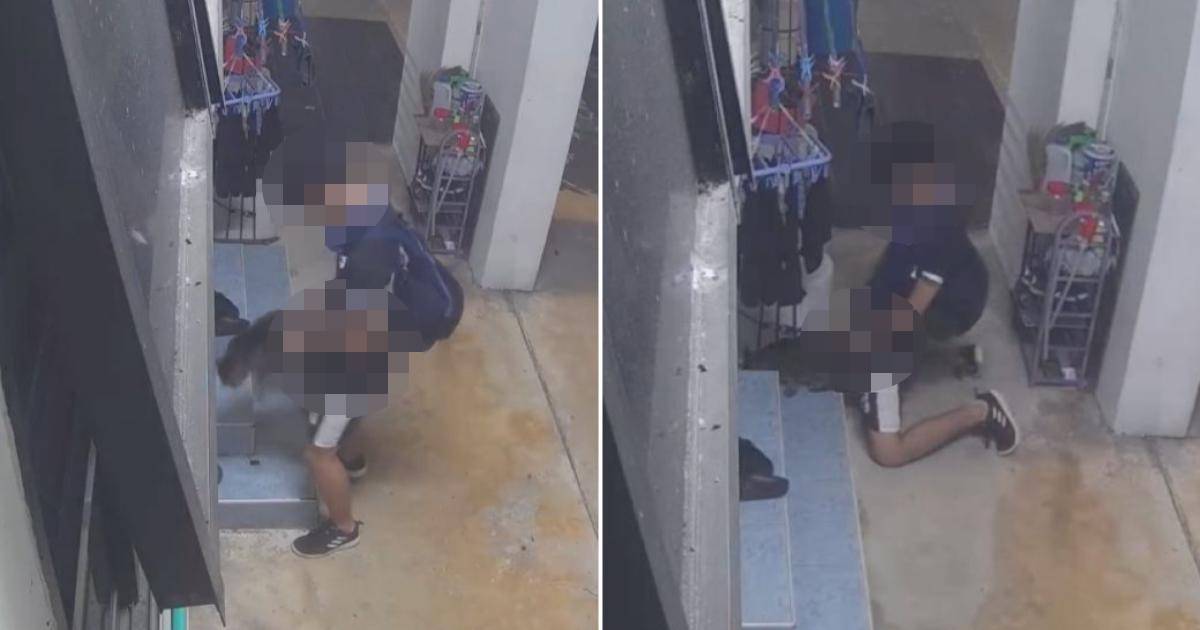 MothershipSG's tweet photo. Teen charged with performing obscene act on cat in Bukit Panjang https://t.co/ZB8U1XUGok https://t.co/PPiKD1mDMI