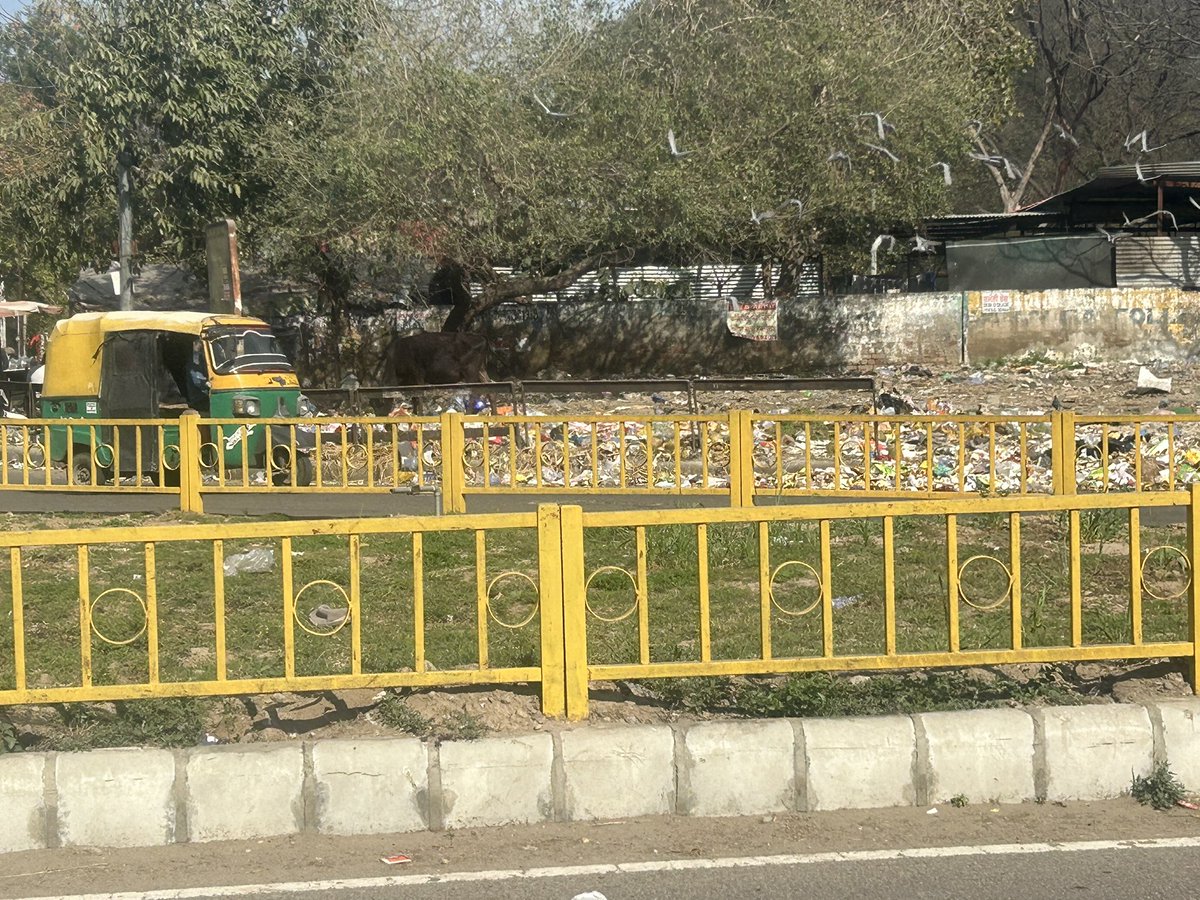kanny24's tweet photo. @MCMohaliSBM @dcmohali @KulwantSASNagar 

SAS NAGAR WELCOMES YOU WITH AN UNATTENDED TRASH, AT THE ROAD WHICH CONNECTS FROM PALSORA.

I would like the authorities to take strict action. Many a time cattle is also seen eating waste. This is highly toxic . https://t.co/nOQY1j09aX