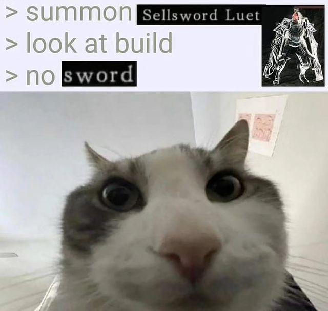 berserksouls's tweet photo. https://t.co/nhn41LMt0x