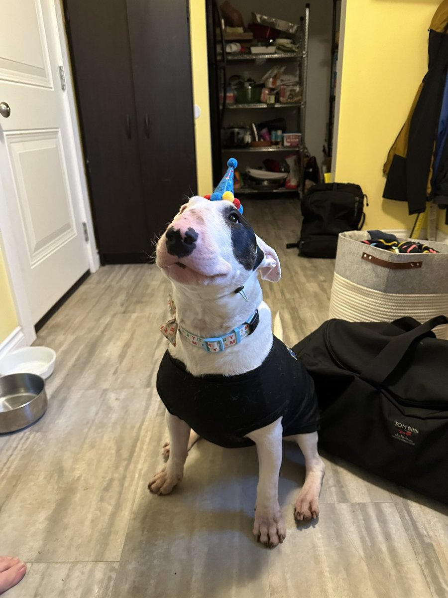 ZeroIsaGoodBoy's tweet photo. IT'S MY BIRTHDAY!! Look out world, I'm 3 today! https://t.co/7sZVEQs5qI