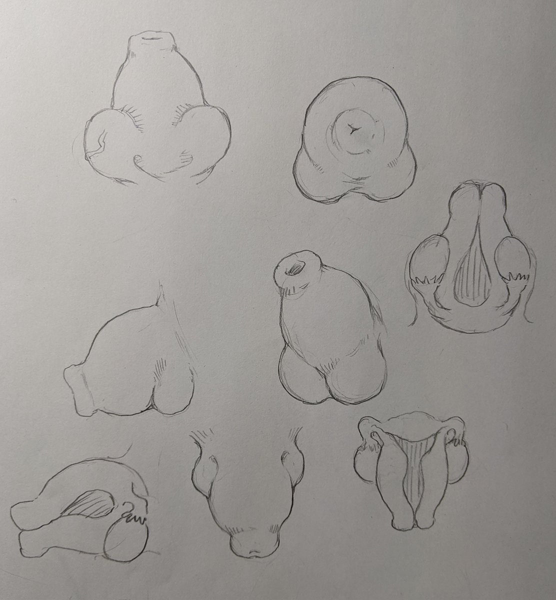 今回のマンガでは今までと違う子宮脱の形に挑戦してます。
これがうまくエロ表現として描ければ色んなプレイに派生出来る気がする。 