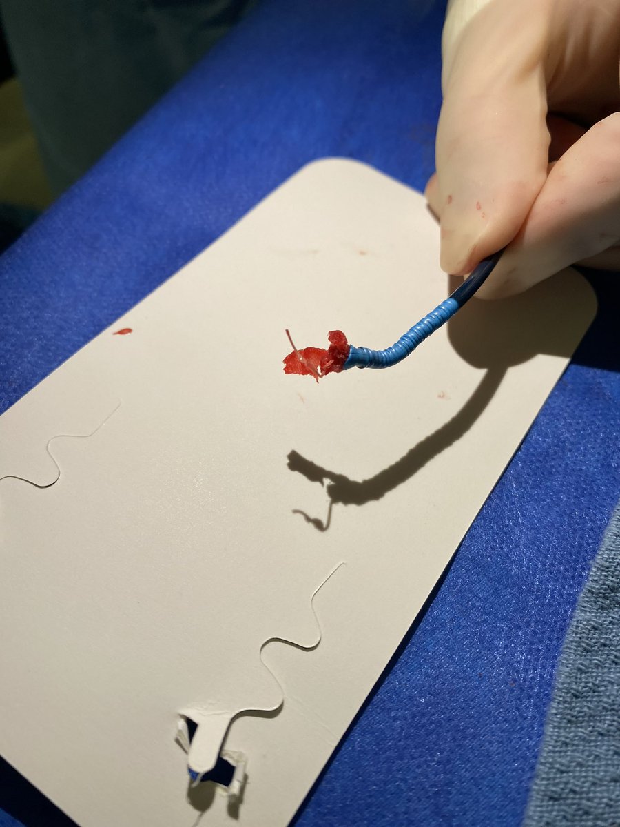 Michael J. Hsu tweet media