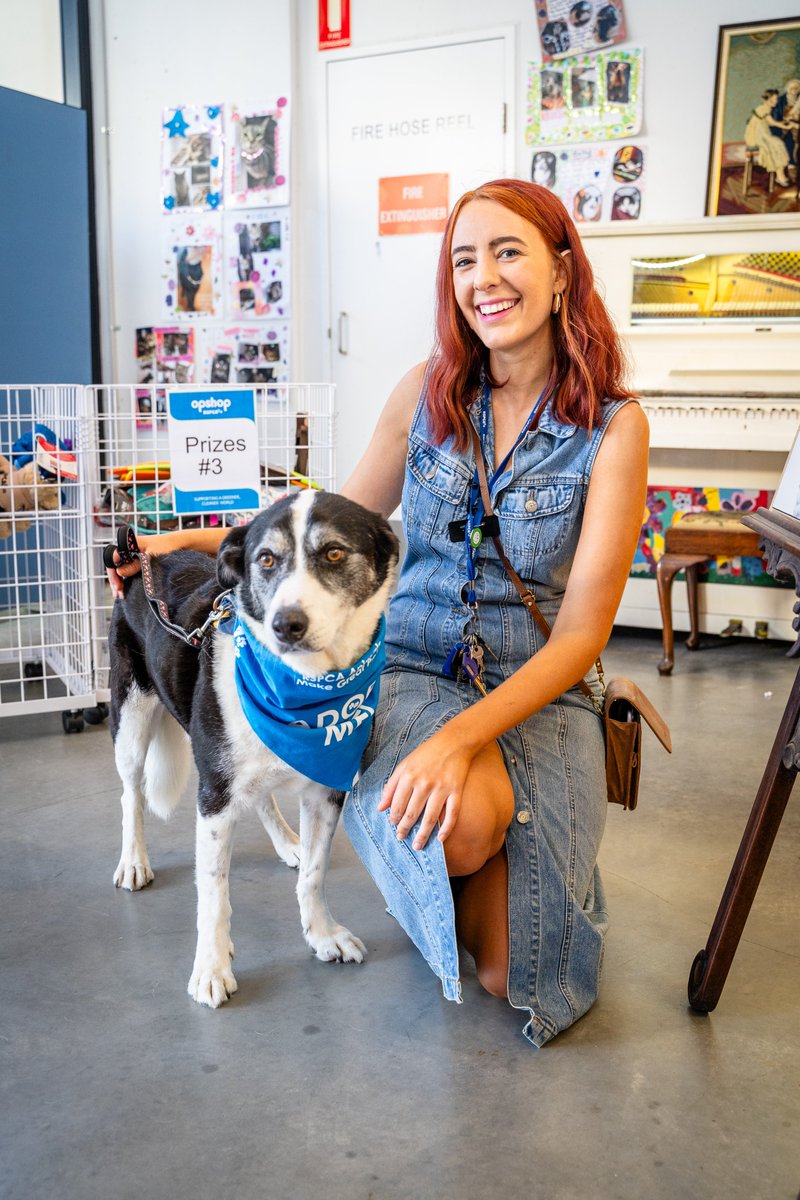 The wait is over, our first ever RSPCA Op Shop Superstore is now open!🎉🎉 The grand opening of our Brisbane Superstore was a day of fun, lots of bargains, face painting, giveaways, not to mention a puppy pat zone!🛍️🐶❤️ Have you looked inside? 📌139 Wacol Station Road, Wacol