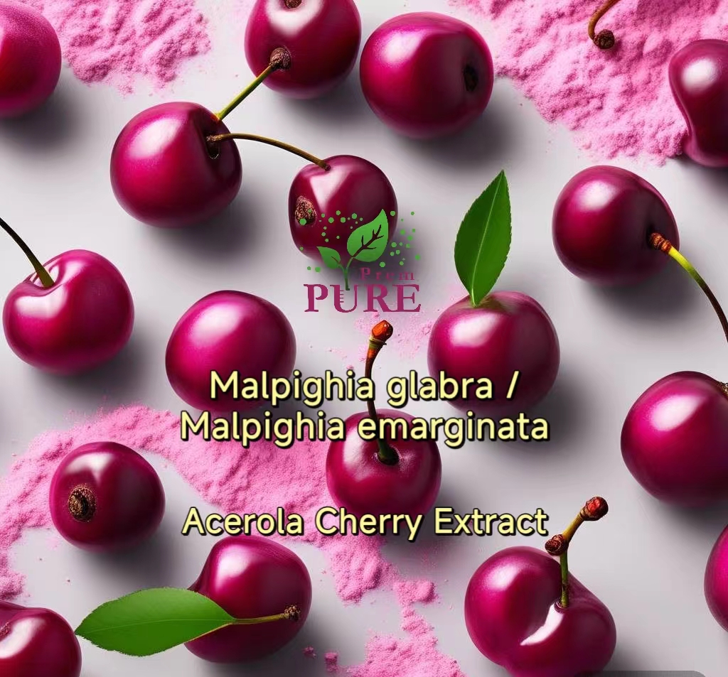 PremPureBio's tweet image. Are you willing to try our ingredients
#Acerolacherryextract powder
Natural berry extract powder factory
#MalpighiaglabraL
