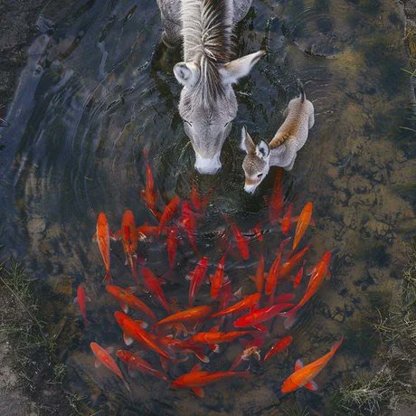 luulao's tweet image. #フォロバ100