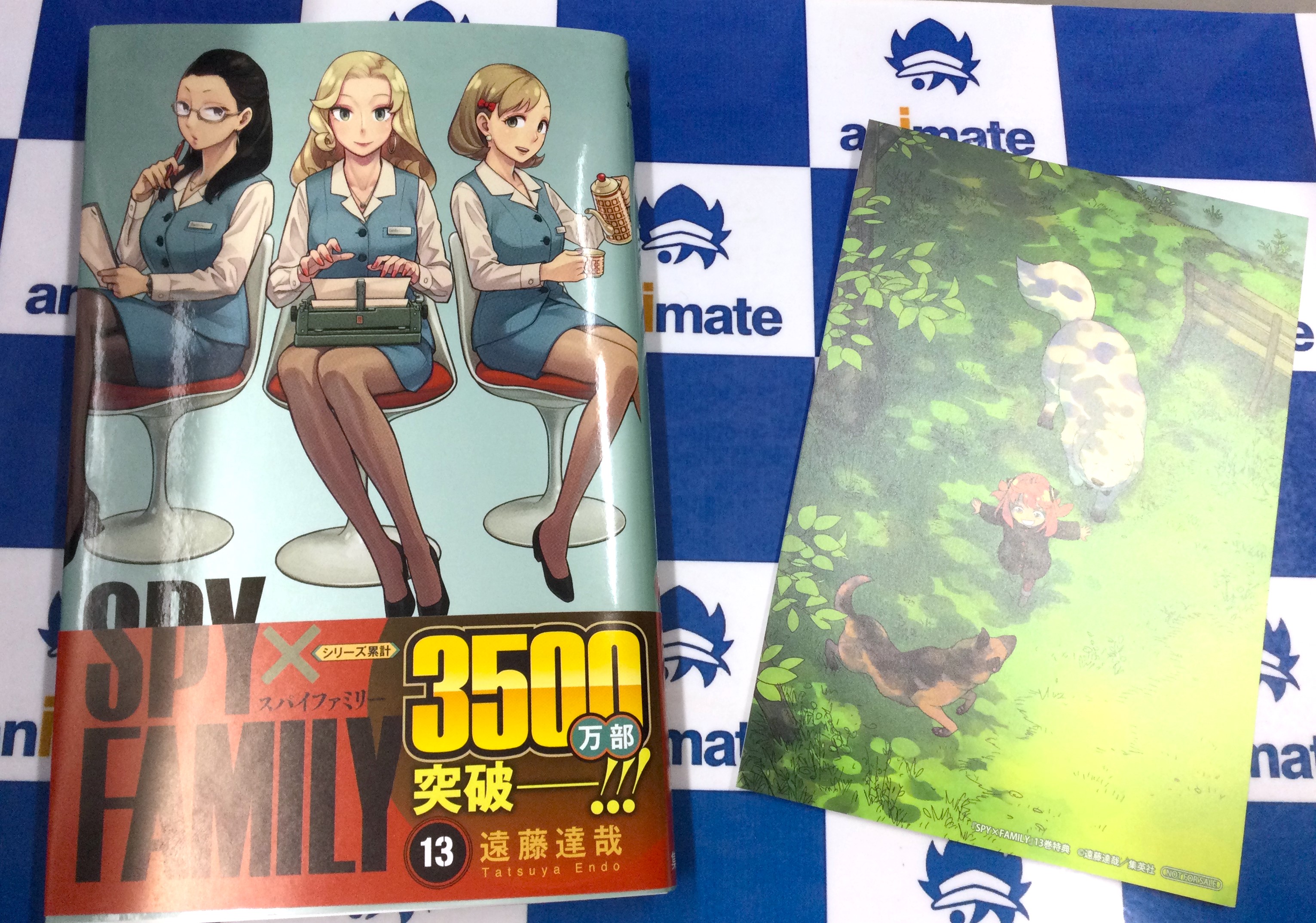 SPY×FAMILY 13／遠藤 達哉 | 集英社 ― SHUEISHA ―