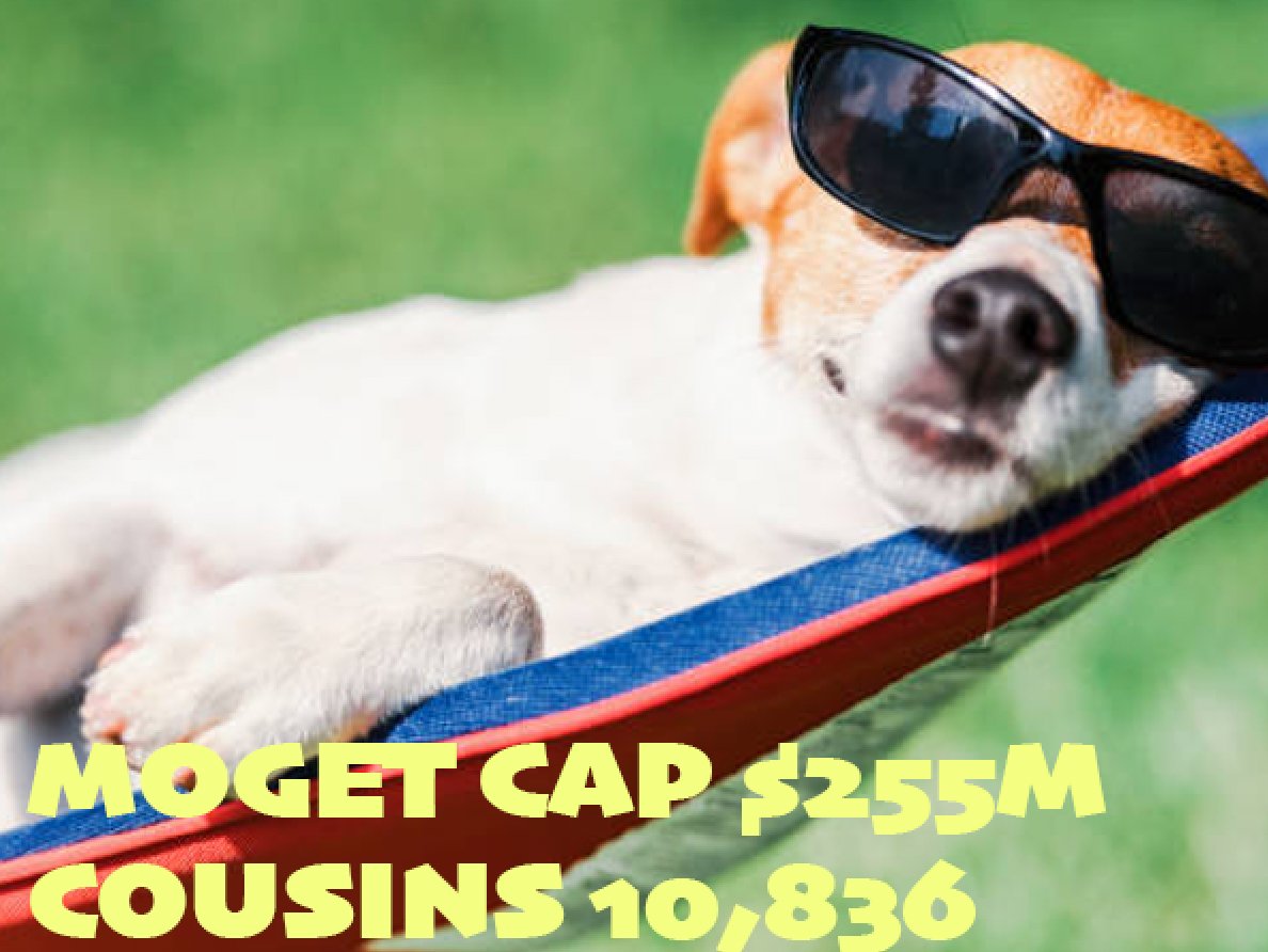 Update:

$mog #ethereum #bitcoin