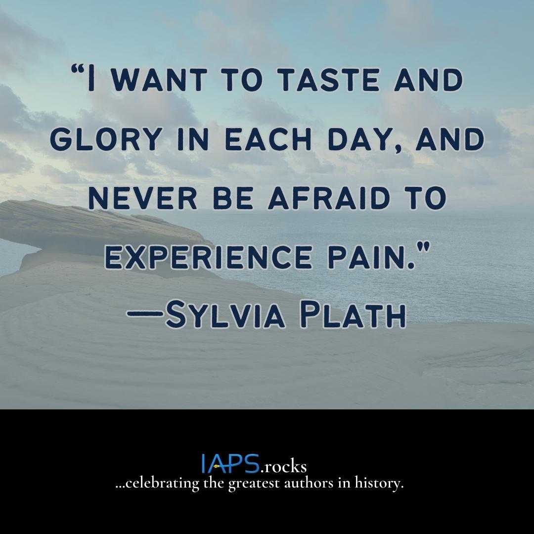 TheproBookedito's tweet photo. You could be someone's favorite author one day. You won't know unless you try. Follow for more daily publishing inspiration! #PenToPaperMagic #CharacterCrafting #ProsePerfection #authorcommunity #booknerd #indieauthor #IARTG #books #Inspirational #bookaddict #publishing https://t.co/RSDMQeLrUX