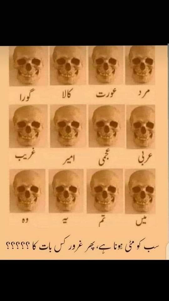 🥀❤️🥀
.
Faiza ali Rajpoot 🌺🌺.