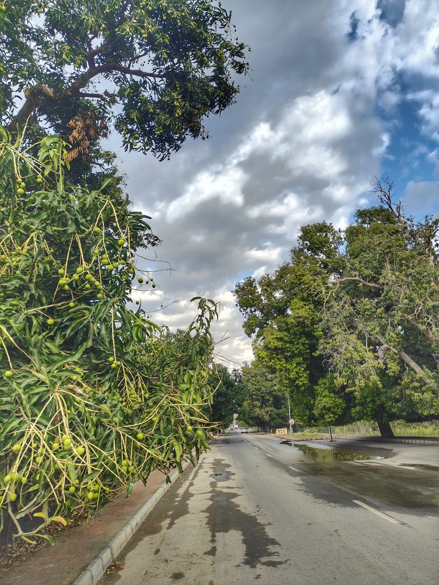 صباح النفاف
حيل الغاف ولاية قريات 
#اخدود_الريان