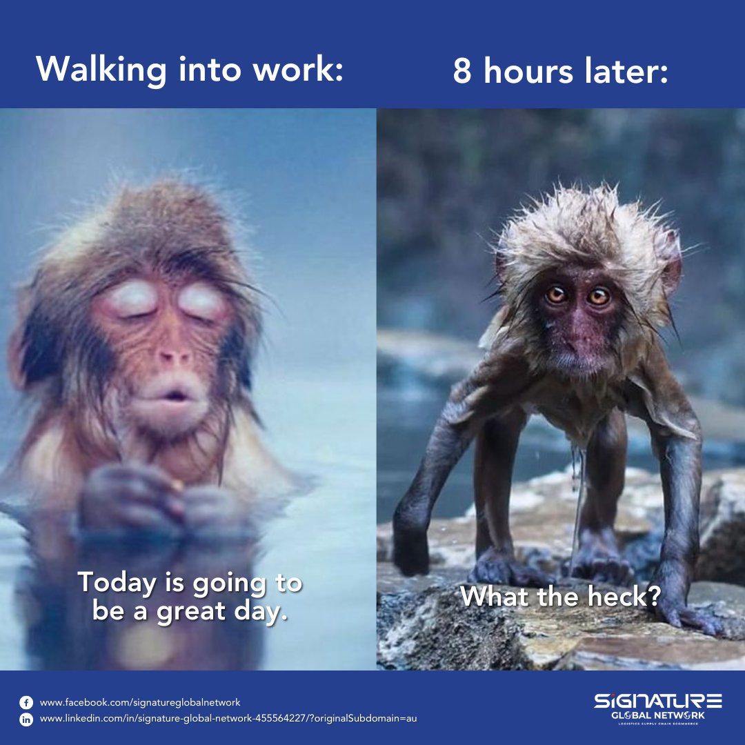 Signaturegln's tweet image. A Logistics’ person’s day. 

#Logisticshumor #LogisticsLaughs #SupplyChainSmiles #FreightForwarderFunnies #EcommerceLaughs #ShippingHumor #LogisticsMemes #SupplyChainHumor #FunnyFreight #LogisticsLife #EcommerceComedy