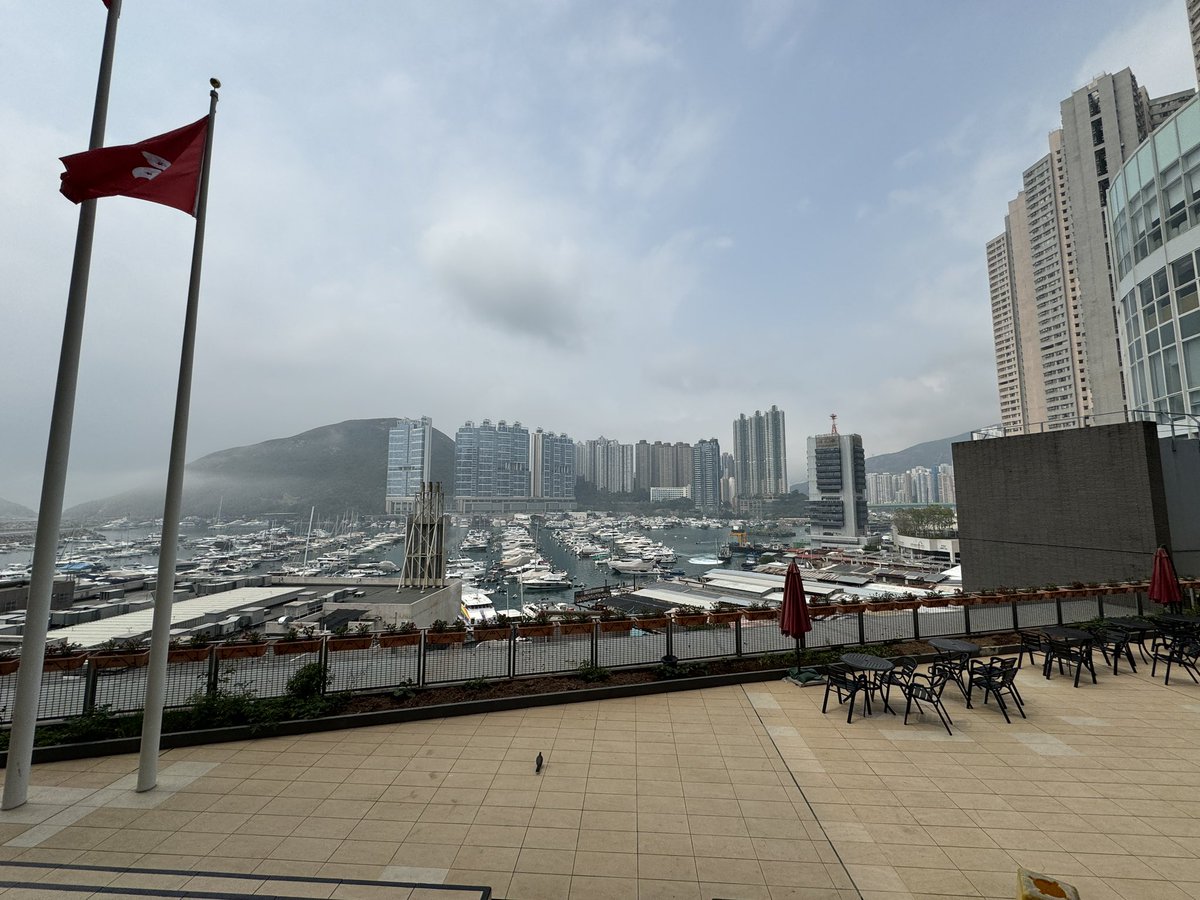 Sandra Chow tweet media