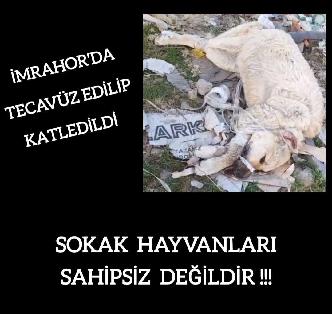 Yitip giden canlar için lütfen rt

Elleri kolları bantla, ağzı plastik kelepçeler ile bağlandı. Teca*üz edildi. Katledildi. C tesi onların sesi olmak için haykıracağız. Sen olmazsan eksik kalırız.sessiz kalırız. Saat 14.30 tüv Türk Konya yolu önünde buluşuyoruz. Yasal izinler