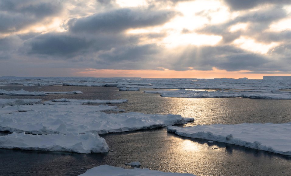 New research suggests an ⬆️ in pockets of open water in #Antarctica's sea ice (polynyas) may offer ⬆️ opportunities for non-native species to establish on the continent. 🐜

📰 <a href="/PNASNews/">PNASNews</a>  doi.org/10.1073/pnas.2…

➡️ arcsaef.com/story/new-poly…

<a href="/otago/">University of Otago</a> <a href="/Grant_Duffy/">Grant Duffy</a> <a href="/ariaanpurich/">Ariaan Purich</a>