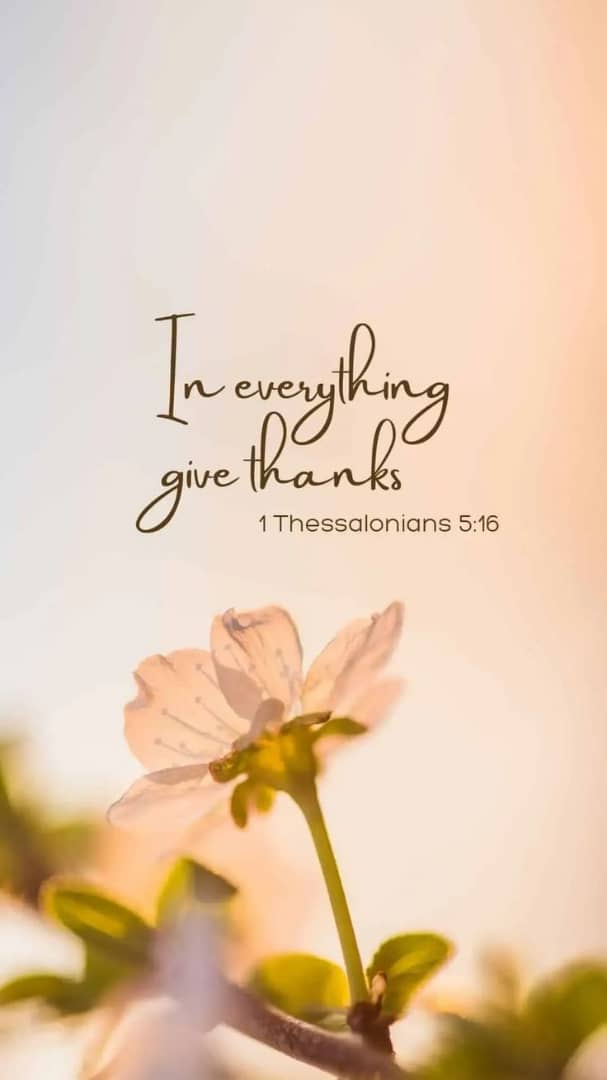 Saints, may every Step you take be filled with happiness,  love, Joy and Peace. Good morning ! 🕊️🕊️🕊️