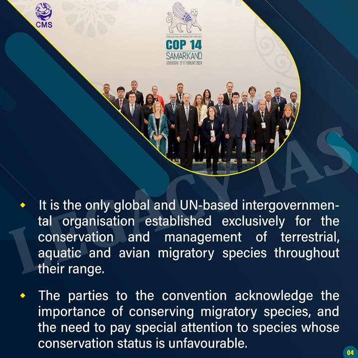 Legacy_ias's tweet photo. 4th Meeting on Convention Of The Conservation of Migratory Species (CMS) !!
#migratoryspecies #conservation #enviornment #CMS #COP14 #endangeredspecies #ecology #UPSCPrelims2024 #legacyias https://t.co/3dBMiulmmp