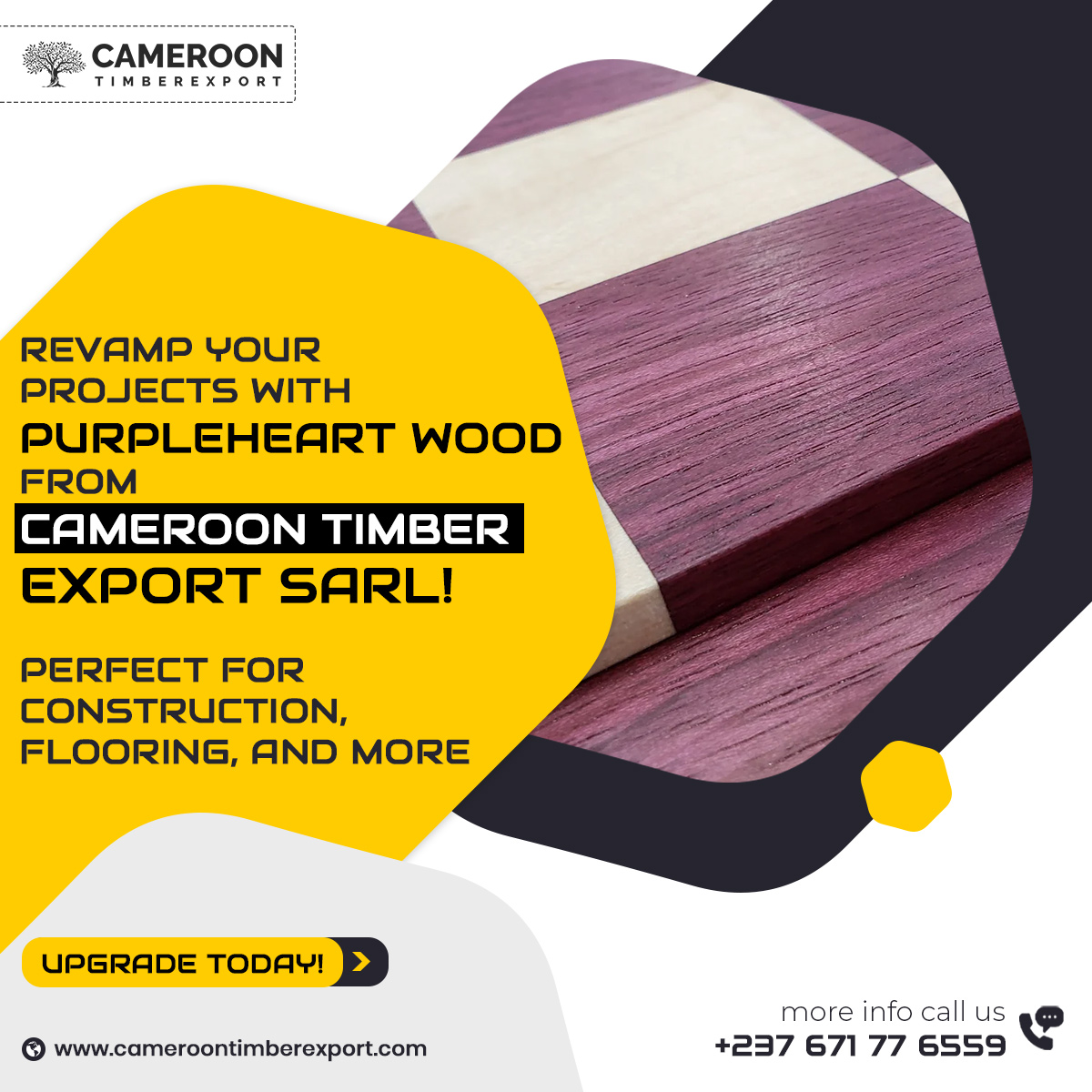 REVAMP YOUR PROJECTS WITH PURPLEHEART WOOD FROM CAMEROON TIMBER EXPORT SARL!

PERFECT FOR CONSTRUCTION, FLOORING AND MORE✅

UPGRADE TODAY: cameroontimberexport.com/product/purple…

#timber #lumber #wood #PurpleHearts #woodsupplier #export #worldwide #delivery #woodlogs #woodslabs #buynow