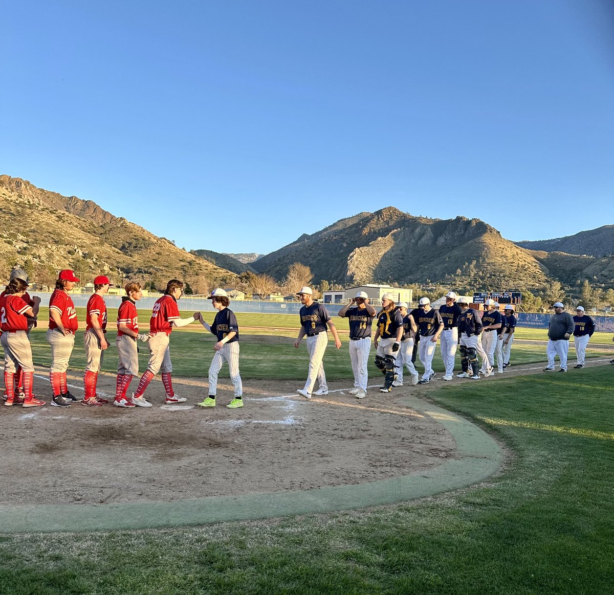 Alan Paradise tweet media