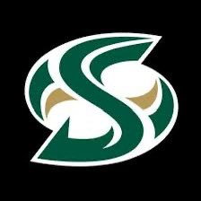 After an amazing conversation with @coachkmr I am absolutely blessed to receive my first divison offer from Sac St. #StingersUp 🐝