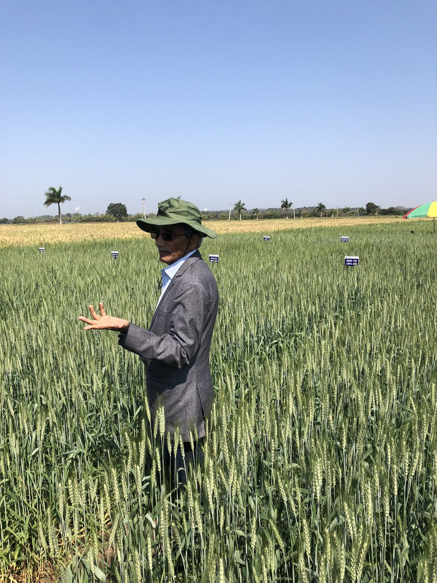 Ravi Gopal Singh (@rgosingh) on Twitter photo JIRCAS <a href="/jircas_direct/">国際農研</a> Biological nitrogen inhibition project team at <a href="/BISA__India/">Borlaug Institute for South Asia</a> Jabalpur. MD <a href="/Arunkum81057931/">Arun kumar joshi</a> explaining the project activities and research in the station. <a href="/NarayanAwasthi9/">Narain Dhar</a> conducted beautiful trials. JIRCAS <a href="/jircas_direct/">国際農研</a> Biological nitrogen inhibition project team at <a href="/BISA__India/">Borlaug Institute for South Asia</a> Jabalpur. MD <a href="/Arunkum81057931/">Arun kumar joshi</a> explaining the project activities and research in the station. <a href="/NarayanAwasthi9/">Narain Dhar</a> conducted beautiful trials.