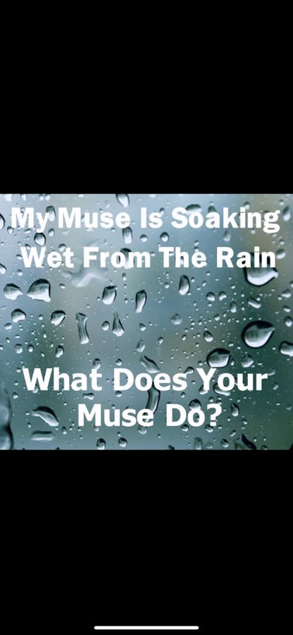 :|/♤\|: _ E̶c̶h̶o̶ L̶i̶m̶a̶ I̶n̶d̶i̶g̶o̶ _ :|/♤\|: tweet media