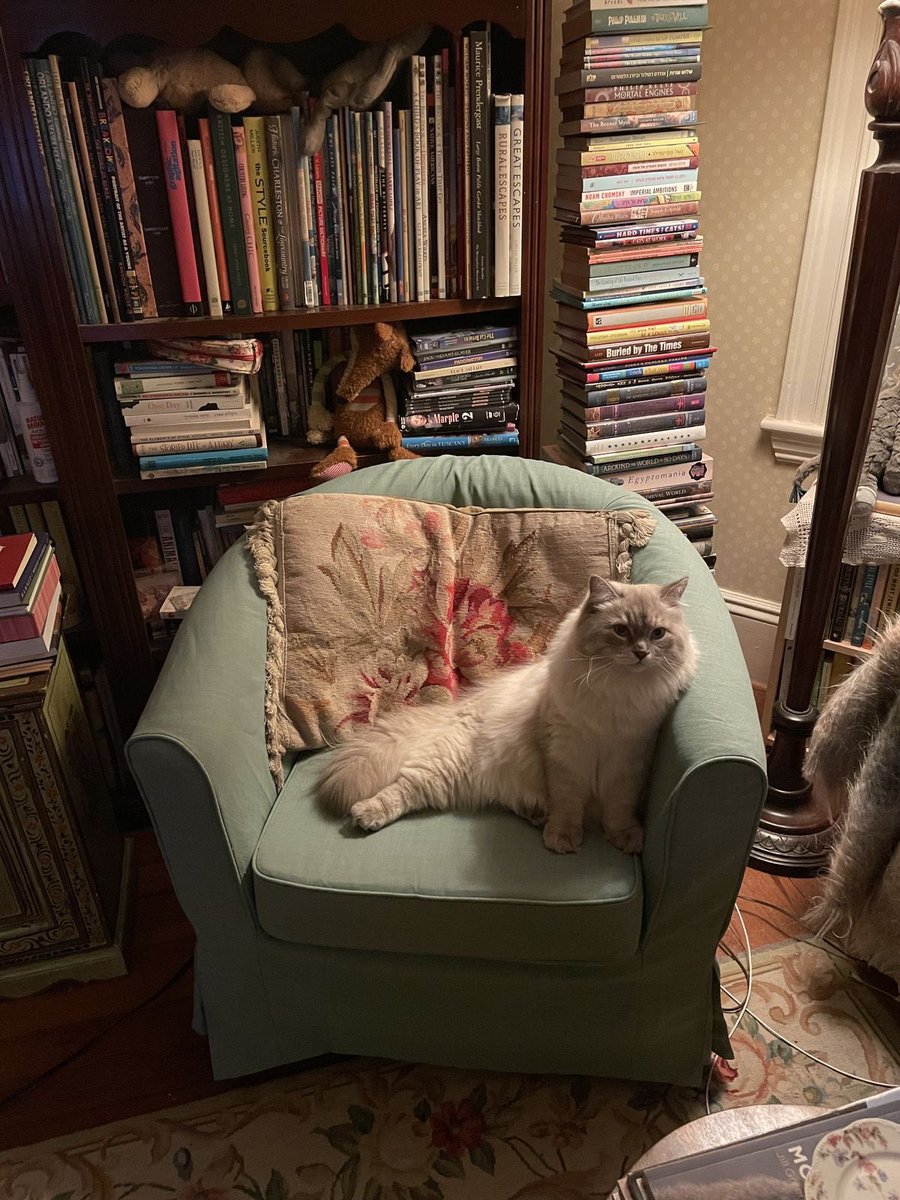 faina (@korsancikmazi) on Twitter photo 