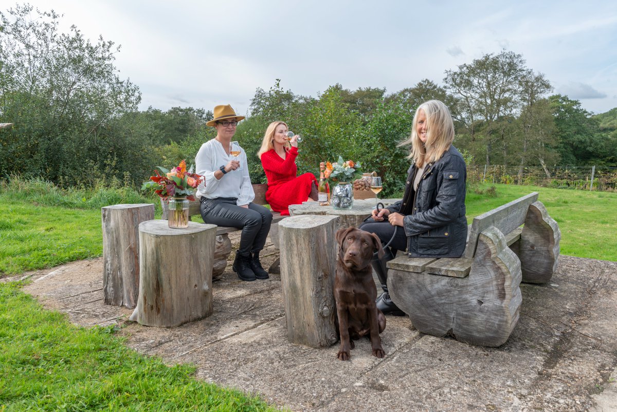 The best thing about our Vineyard trail is that it brings you back round to our Tasting Room! If you’ve been on a long walk feel free to drop in for a reward 🥂
#englishvineyard #vineyard #winelover #wineoclock #winetime #sussex