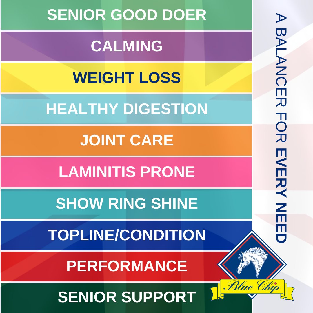 British Showjumping (@britshowjumping) on Twitter photo 🐴 <a href="/BlueChipFeed/">Blue Chip Feed</a> Balancers for all types of ponies and horses
💙Peace of mind that you are providing an all in one solution
💛For weight management, calming, performance, seniors and more
🛒Effortless and easy, BS members can save money too!
Find out more: bluechipfeed.com 🐴 <a href="/BlueChipFeed/">Blue Chip Feed</a> Balancers for all types of ponies and horses
💙Peace of mind that you are providing an all in one solution
💛For weight management, calming, performance, seniors and more
🛒Effortless and easy, BS members can save money too!
Find out more: bluechipfeed.com