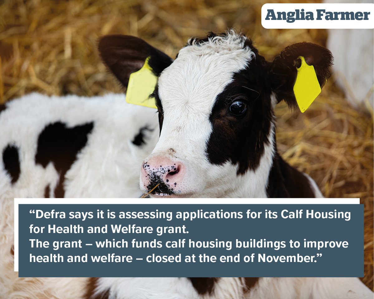 Calf health applications 'now being assessed' 

Read more here: issuu.com/countrywidepub…

#angliafarmer #BackBritishFarming #farmers