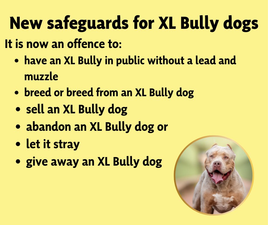 GMartinMSP's tweet photo. ✍️Please remember changes to the law have come into force today around dog ownership of the XL Bully breed.
👇 The changes are in the graphic below but for additional information this is a helpful link: https://t.co/Wn8MUs1mGU... https://t.co/r37wIykoer