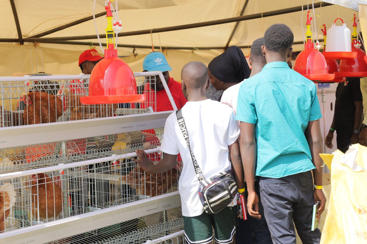 Questions and curiosity,
Different livestock farmers and farming enthusiasts paying a visit to our stall on Day 1 of the Harvest Money Expo 2024.

#tunganutrition #harvestmoneyexpo #poultryfarming
