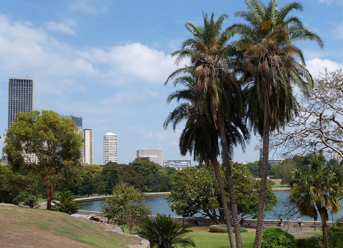 UK Centre for Ecology & Hydrology (@uk_ceh) on Twitter photo Botanical gardens cool city air by around 5°C in heatwaves, reveals an international study involving UKCEH. Parks & wetlands also notably lower air temperatures 🌡️
The <a href="/UniOfSurrey/">University of Surrey</a>-led <a href="/reclaim_network/">RECLAIM Network Plus</a> team reviewed data from 100+ urban areas worldwide
ceh.ac.uk/news-and-media… Botanical gardens cool city air by around 5°C in heatwaves, reveals an international study involving UKCEH. Parks & wetlands also notably lower air temperatures 🌡️
The <a href="/UniOfSurrey/">University of Surrey</a>-led <a href="/reclaim_network/">RECLAIM Network Plus</a> team reviewed data from 100+ urban areas worldwide
ceh.ac.uk/news-and-media…