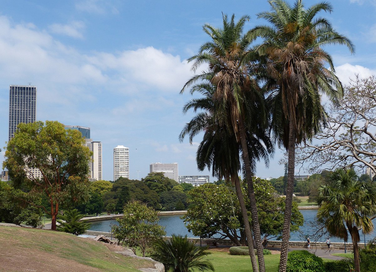 Botanical gardens cool city air by around 5°C in heatwaves, reveals an international study involving UKCEH. Parks & wetlands also notably lower air temperatures 🌡️ The @UniOfSurrey-led @reclaim_network team reviewed data from 100+ urban areas worldwide ceh.ac.uk/news-and-media…