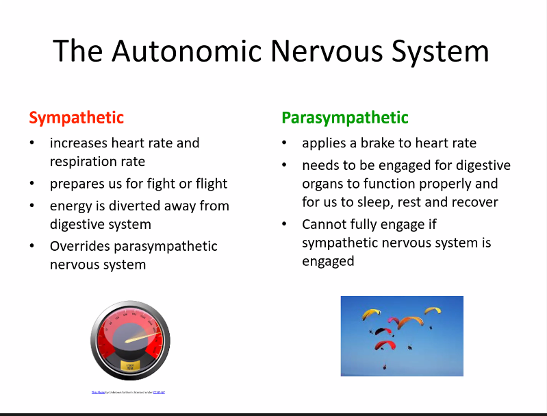 Louise Gelder (@lougelder) on Twitter photo We have to actively engage proactively in rest - the polyvagal theory on this mornings #collaborativeNW so interesting - <a href="/Aqua_NHS/">Advancing Quality Alliance (Aqua)</a> @catieranger We have to actively engage proactively in rest - the polyvagal theory on this mornings #collaborativeNW so interesting - <a href="/Aqua_NHS/">Advancing Quality Alliance (Aqua)</a> @catieranger