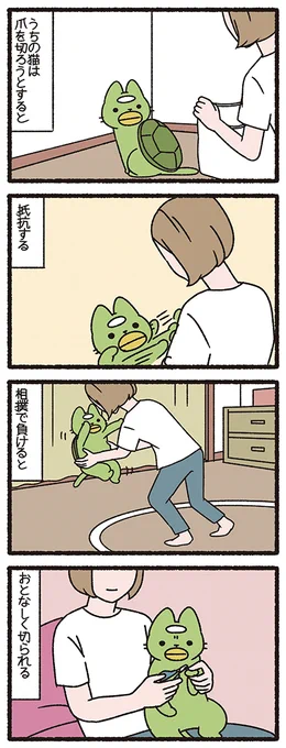 ねこようかい かっぱ
#ねこもんすたー #ねこようかい 