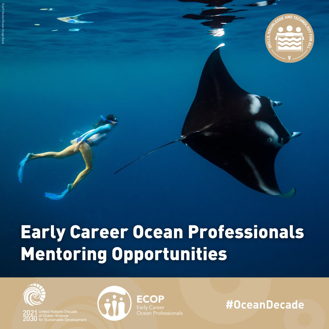 UNOceanDecade's tweet photo. #OceanDecade Programme

📢 Calling all young ocean leaders! 📢

@OceanDecadeECOP compiles plenty of global and regional mentoring opportunities to help you hone your skills, meet other professionals and advance your ocean career.

➡️See the full list here: https://t.co/VgN2T1KyfK https://t.co/8FIpQha2W6