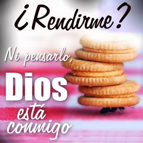 Nelia Plasencia (@neliaplasencia) on Twitter photo 