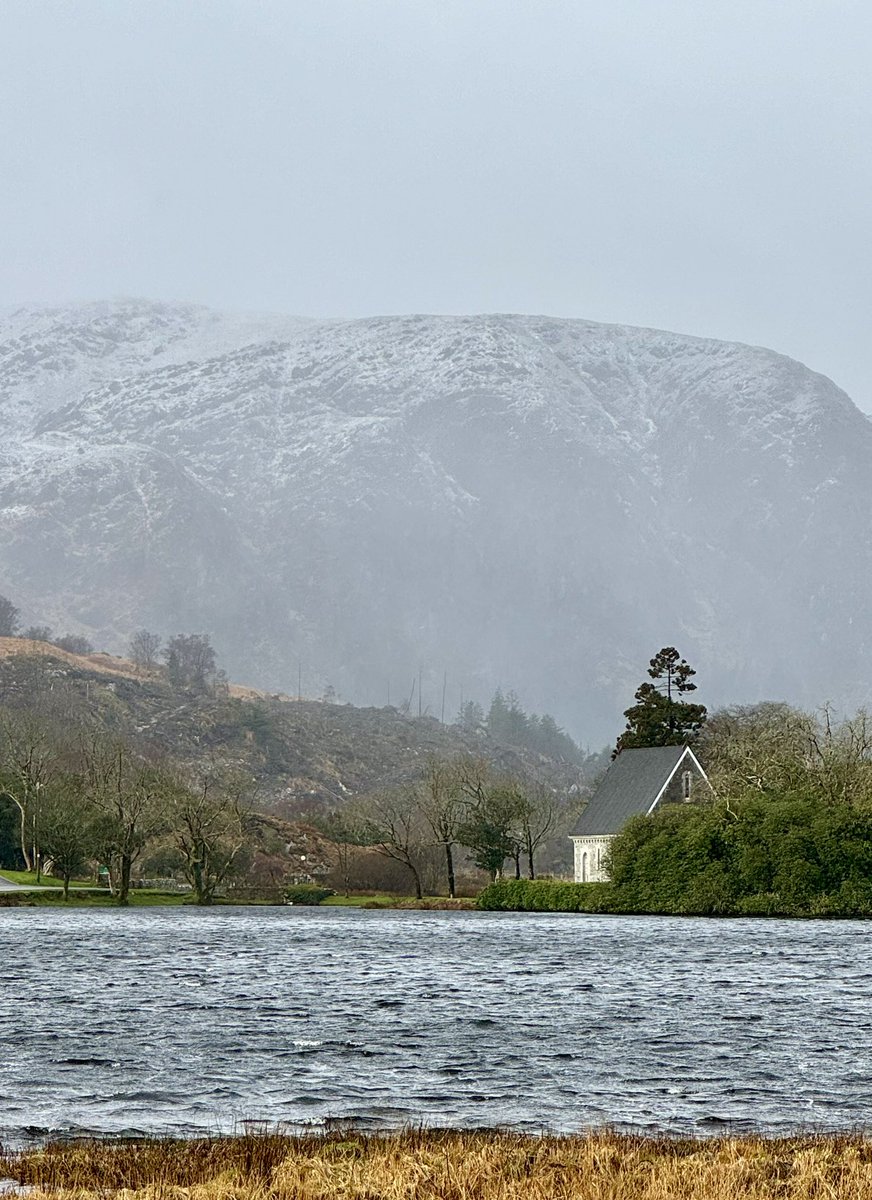 Sneachta - Snow
Surprise ❄️