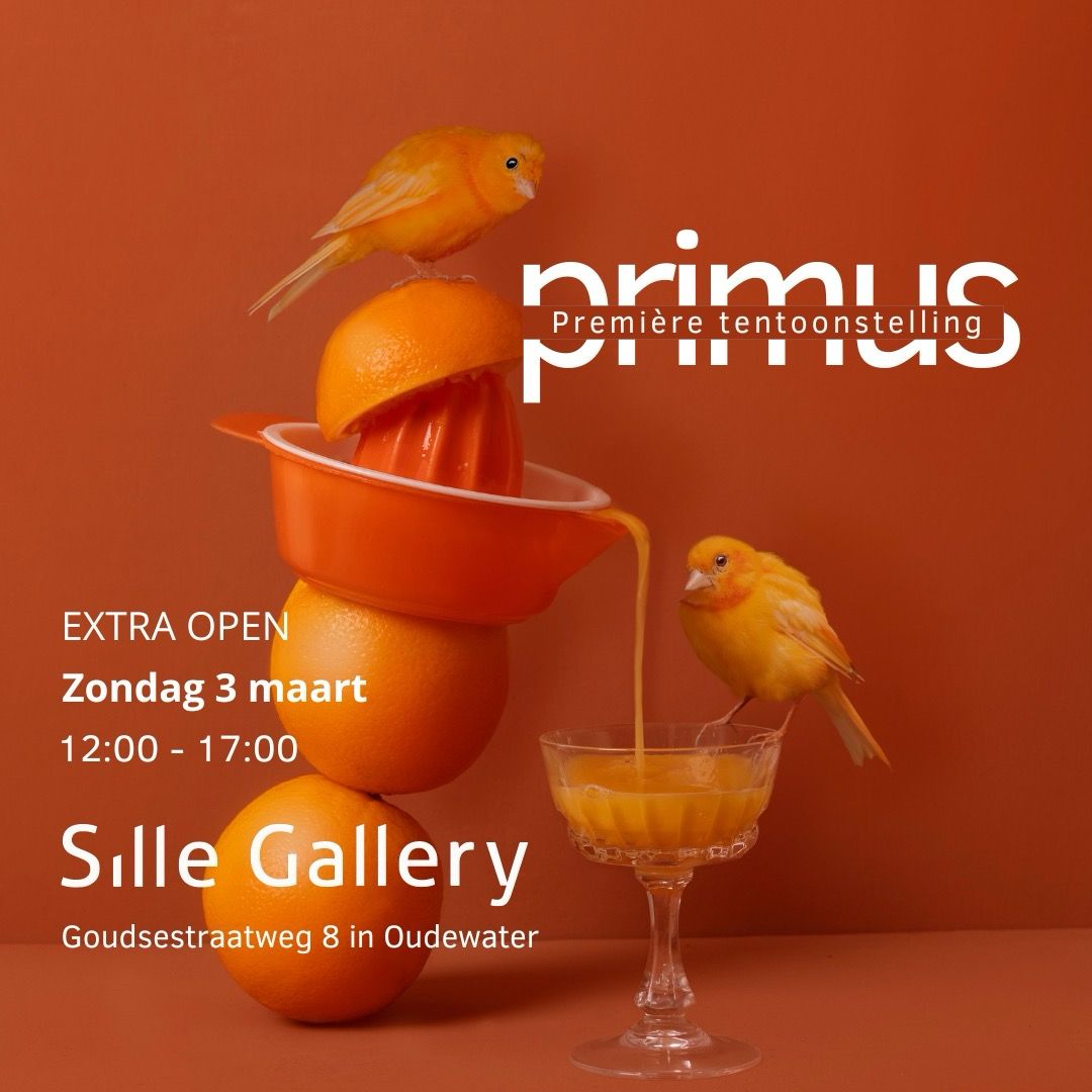 A NOTE FOR ALL THE ART LOVERS🤍

Onze galerie is zondag 3 maart extra open, zodat je de nieuwste tentoonstelling “Primus” nog eens kunt bewonderen. We zijn die dag geopend van 12:00 - 17:00. 

#kunstgalerie #hedendaagsekunst #exhibition #art #openallweekend