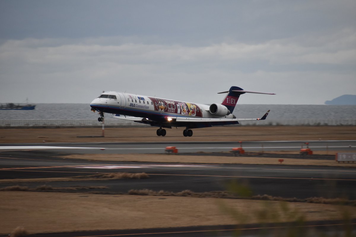 Dash828_'s tweet photo. 2024/02/23 RJFO/OIT
IBEX Airlines
Bombardier CRJ-702ER
JA07RJ
楽天イーグルスジェット(2代目)
#大分空港 #JA07RJ #IBEXエアラインズ #楽天イーグルスジェット https://t.co/w3CNhmwB1o