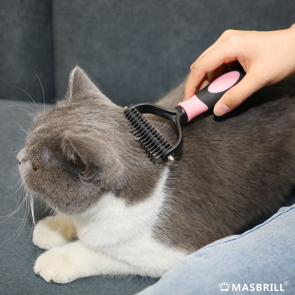 Masbrill_World's tweet photo. Enjoy the pleasure of the #Masbrill 2-in-1 Comb!！！😸😸😸
https://t.co/nrwsmUoVZx
.
.
#cat #cats #dogs #doglover #dogtoys #dogtoysgalore #doglife #furbabylove #furbabylife #puppys #puppylove #puppylife #puppygram #puppies #puppytraining #puppyoftheday #animals https://t.co/O4SECIKpKN