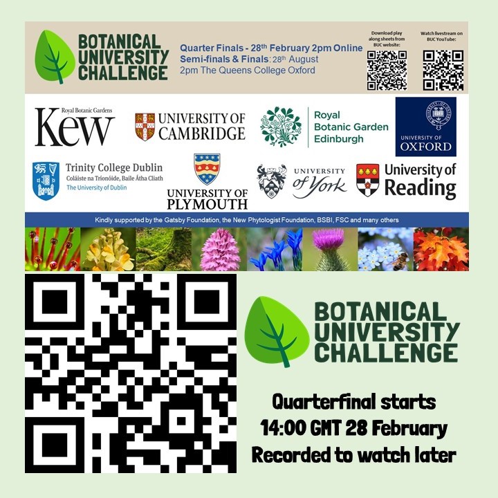 Eight teams UK and Irish students in quarterfinal Botanical University Challenge #BUC2024. Starts 14:00 GMT Wednesday 28 February streaming on out YouTube Channel. Rounds 1 & 2 still viewable at youtube.com/@BotanicalUniv… @NewPhyt @SAPS_News @BSBIbotany @RSKGroup @Tyler_Grange