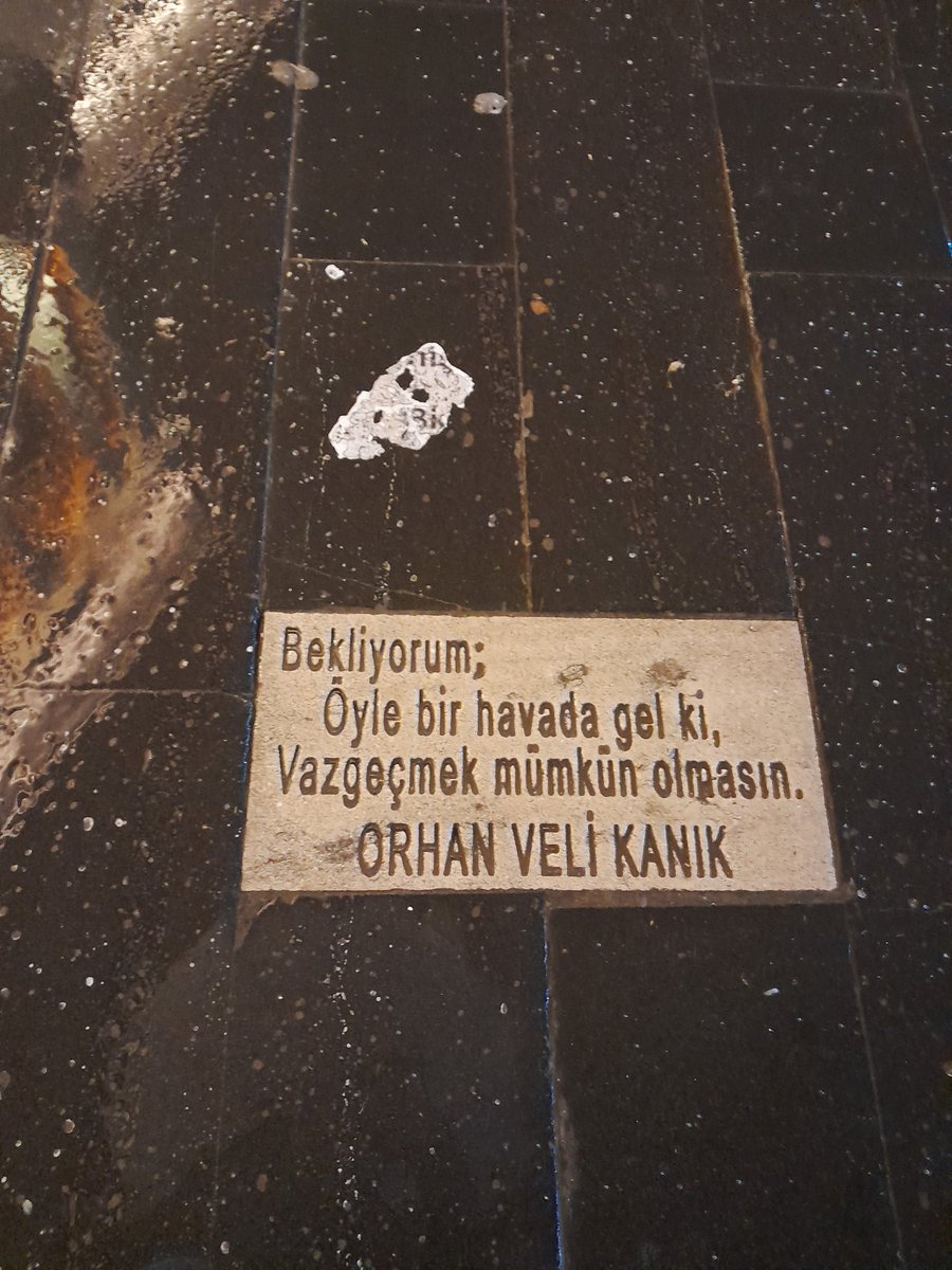 Sema Tonguç tweet media