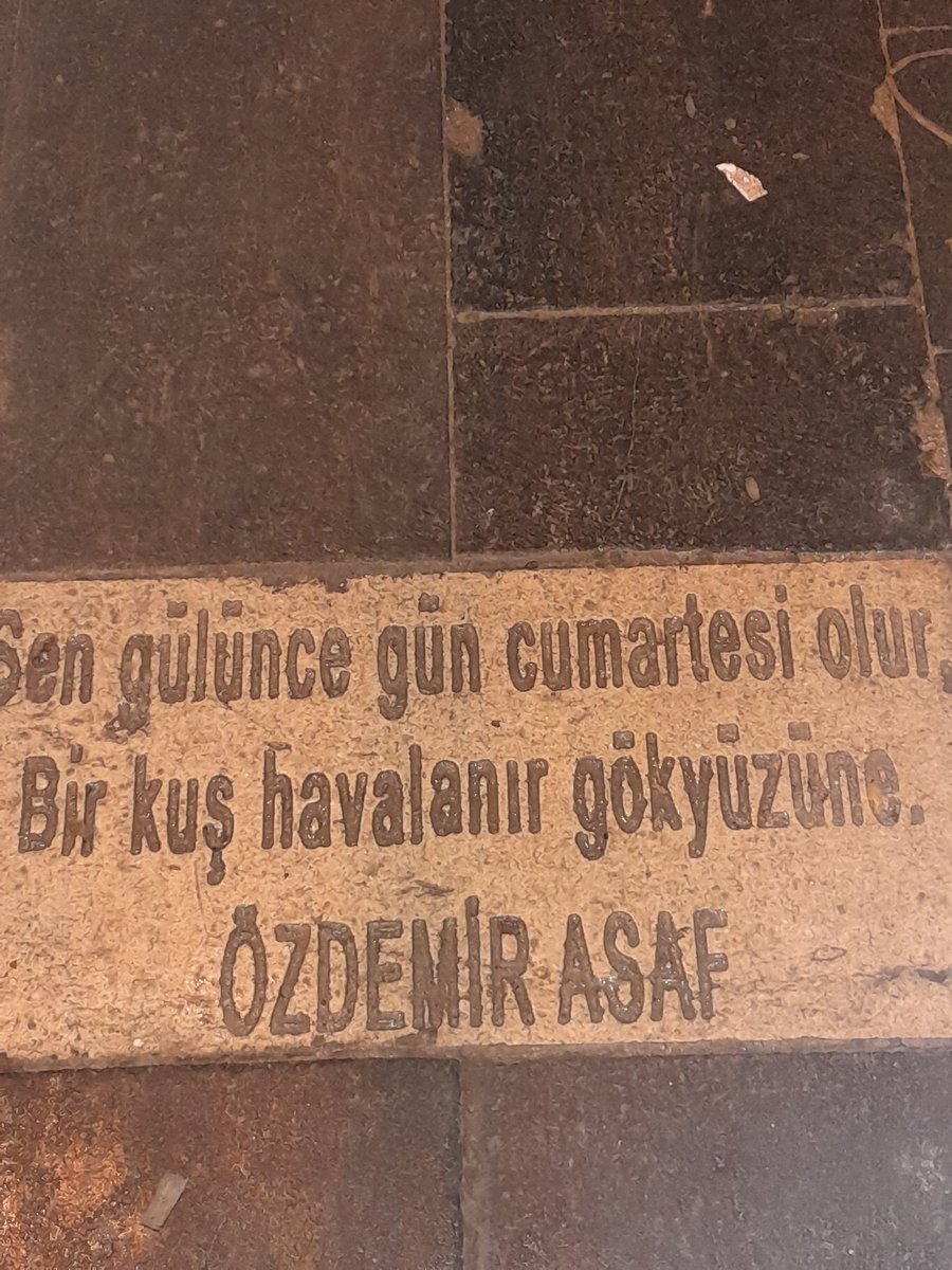 Sema Tonguç tweet media