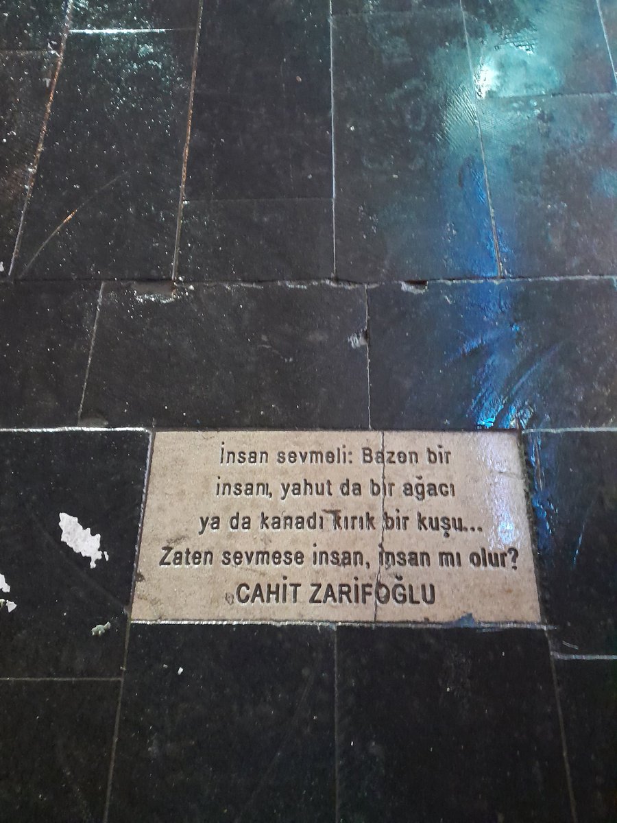 Sema Tonguç tweet media