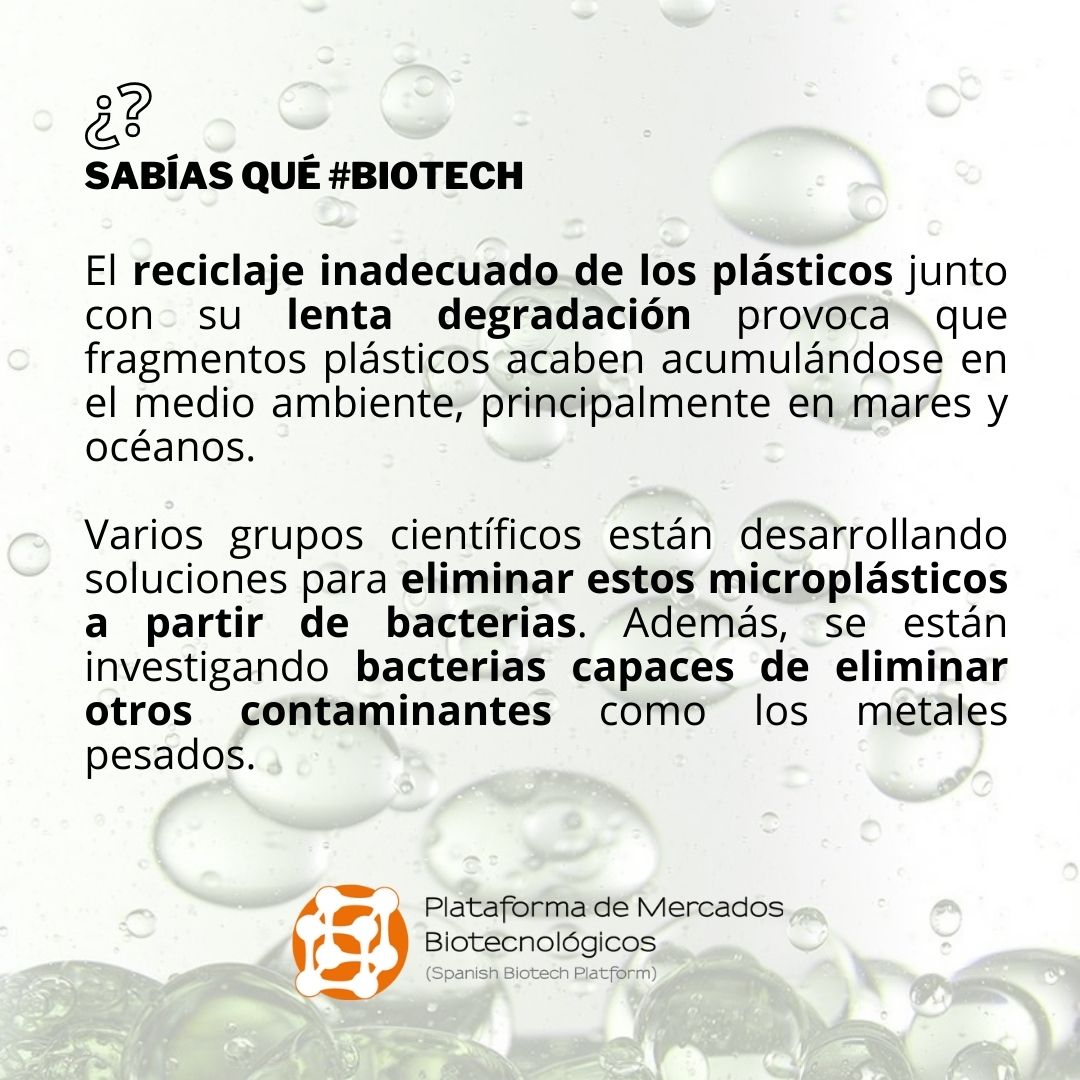 ¿Sabías Qué... las #bacterias pueden eliminar los #microplásticos del agua?

Además, se están investigando bacterias capaces de eliminar otros #contaminantes como los metales pesados.

🔗 mercadosbiotecnologicos.com 

#SabíasQuéBiotech