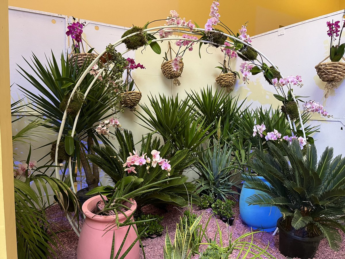 DominiqueBilde's tweet image. Gardons nos traditions 🇫🇷
#feteducitron 
#Menton