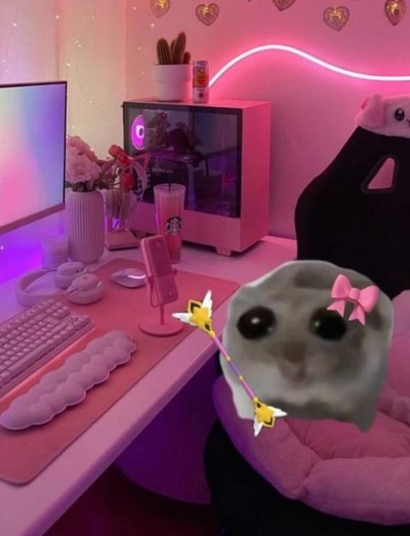 1v9gg's tweet image. 