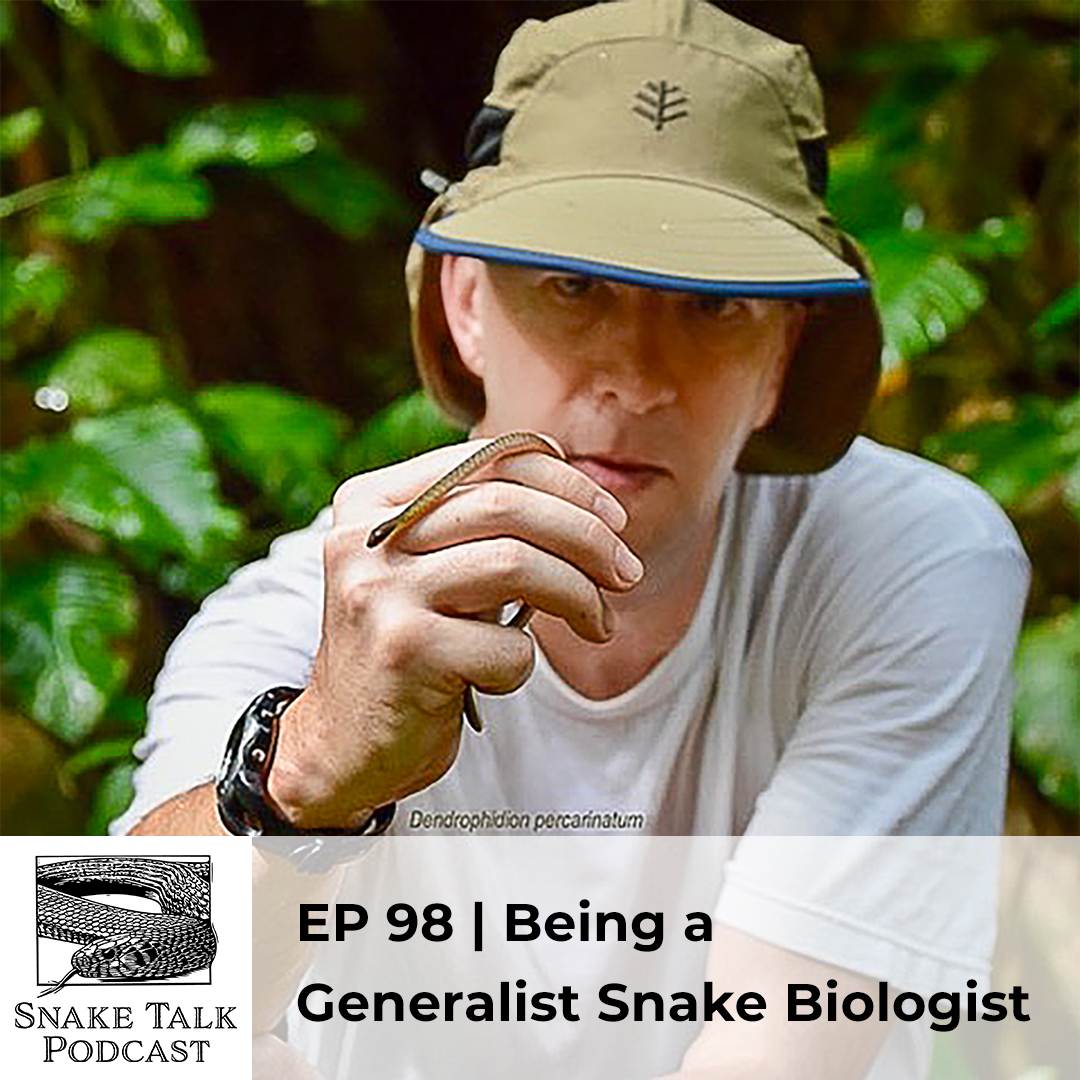 In this #SnakeTalkPodcast episode, Dr. Jenkins sits down with Dr. Stephen Mullin to discuss his #herpetology career. While many academics concentrate on specific questions in science, landscapes, or species, Steve has chosen to be a generalist. Listen in: oriannesociety.org/snake-talk/